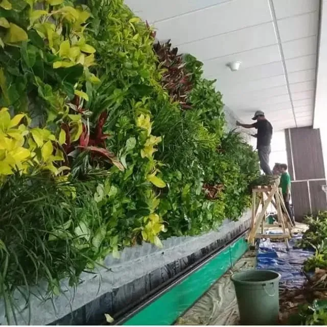 pembuatan taman vertical garden